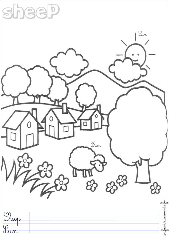 coloriage mouton 1